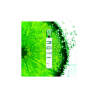 VAPER MOTI PIIN GREEN LIME 0%