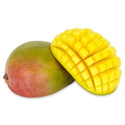 MANGO KG