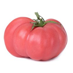 TOMATE ROSA KG