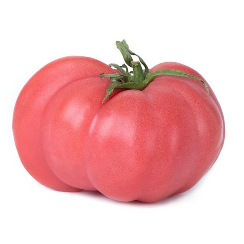 TOMATE ROSA KG